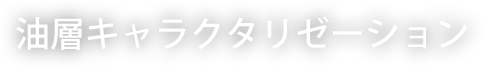 油層キャラクタリゼーション