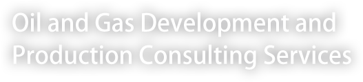 Oil and Gas Development and Production Consulting Services