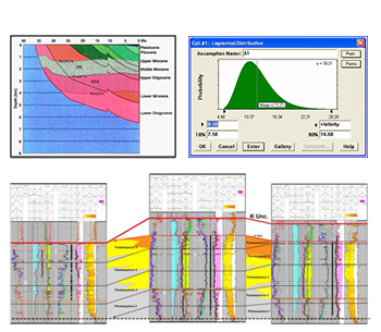 Overview of the evaluation of hydrocarbon-in-place and reservoir parameters.