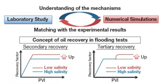 Pre-Feasibility Study for Low Salinity Water Flooding